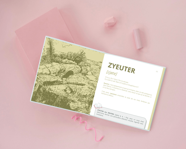 50 mots que vous ne connaissez pas (illustrés) - Version gravures